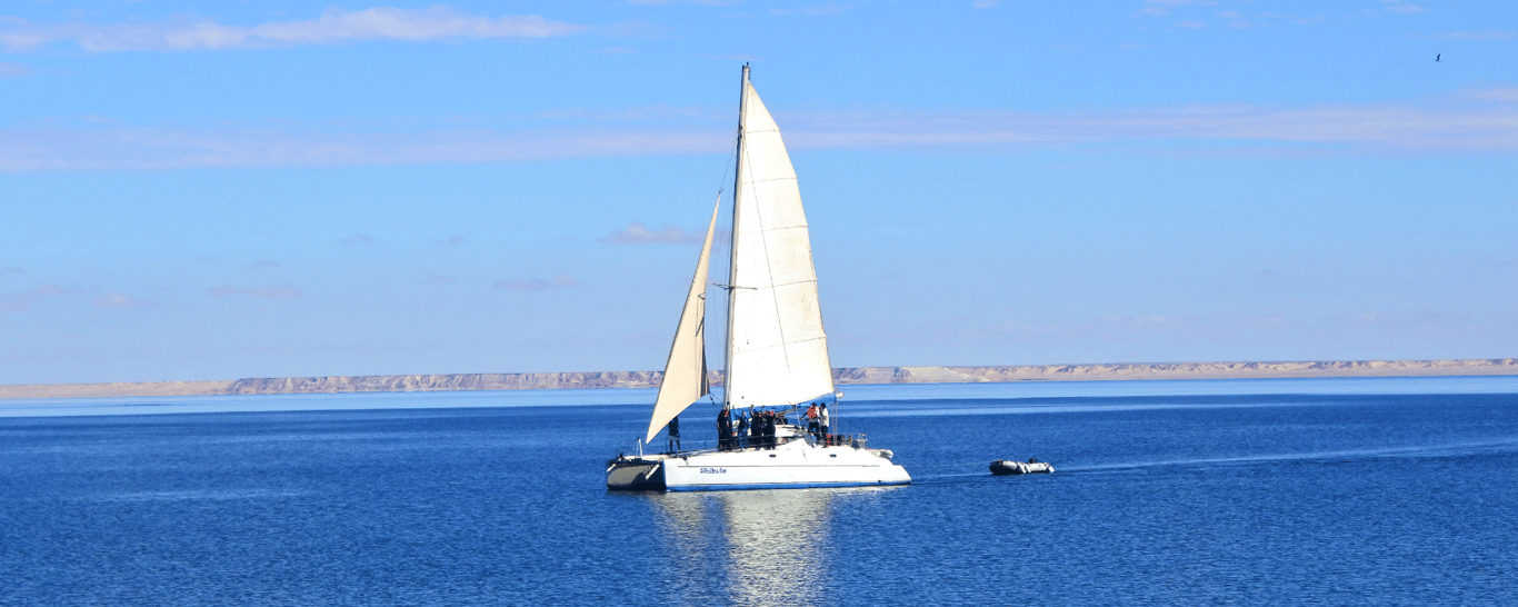 Catamaran Sailing in Dakhla