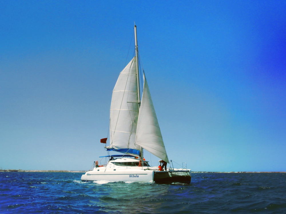 Catamaran Sailing in Dakhla