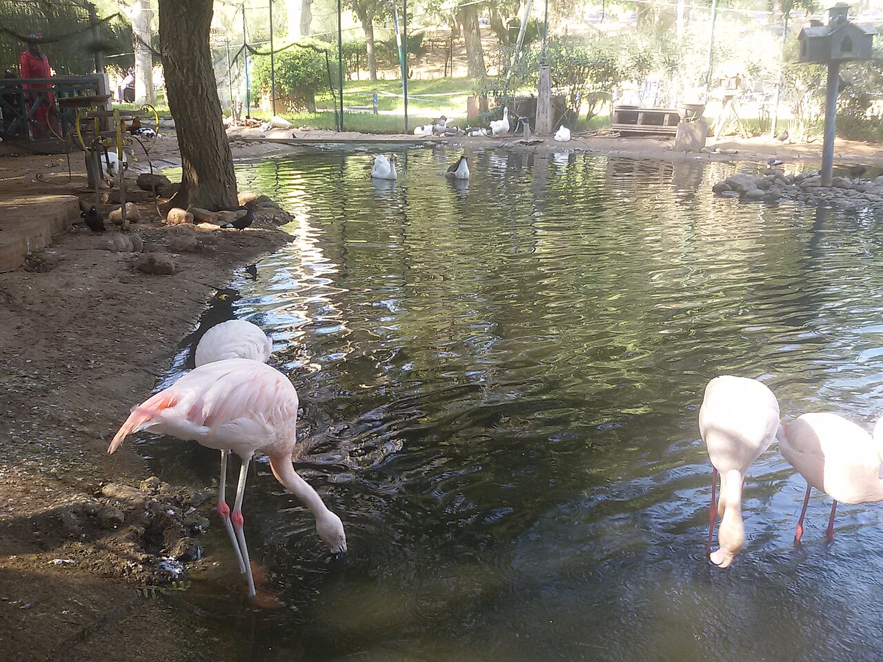 Vallée des Oiseaux