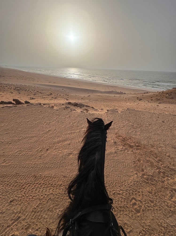 Passeggiata a Cavallo a Dakhla