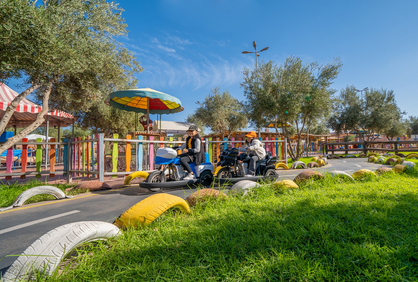 Crazy Park