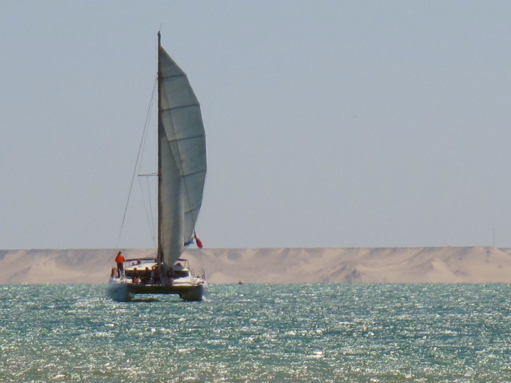 Catamaran Sailing in Dakhla