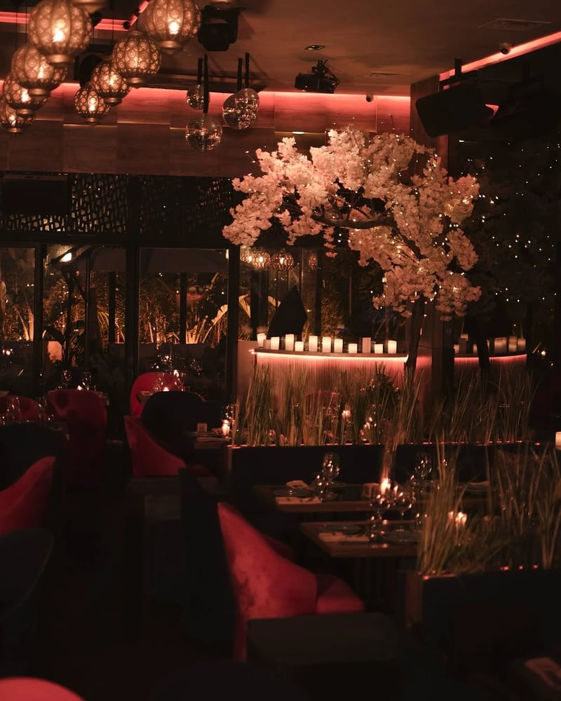 Shoko Lounge