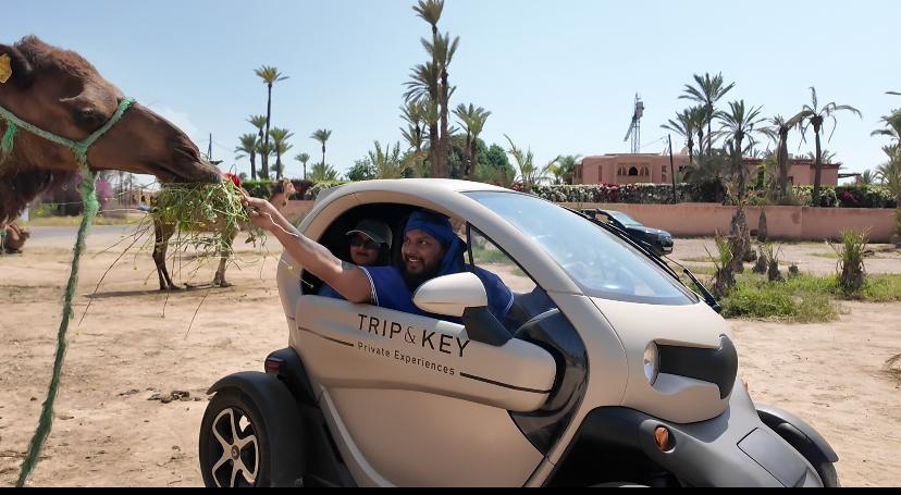 Elektrische Twizy-tour in Marrakech