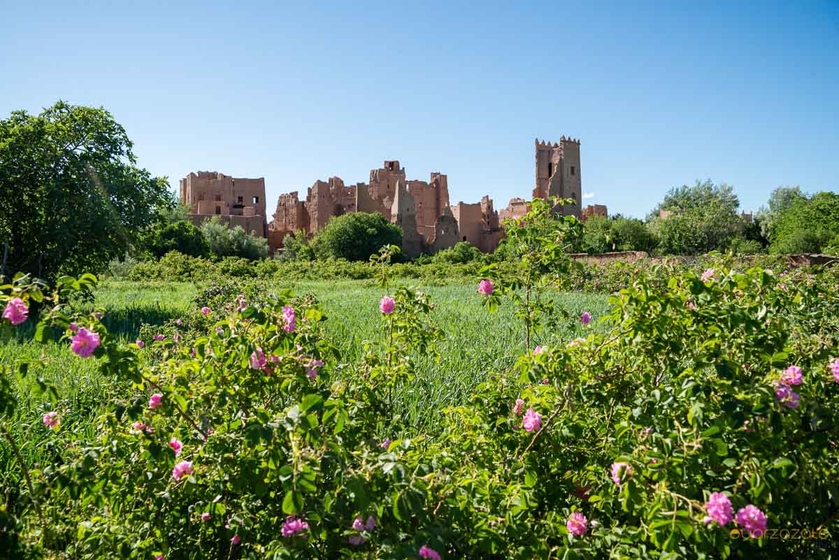5-Day Desert Tour from Tangier to Marrakech