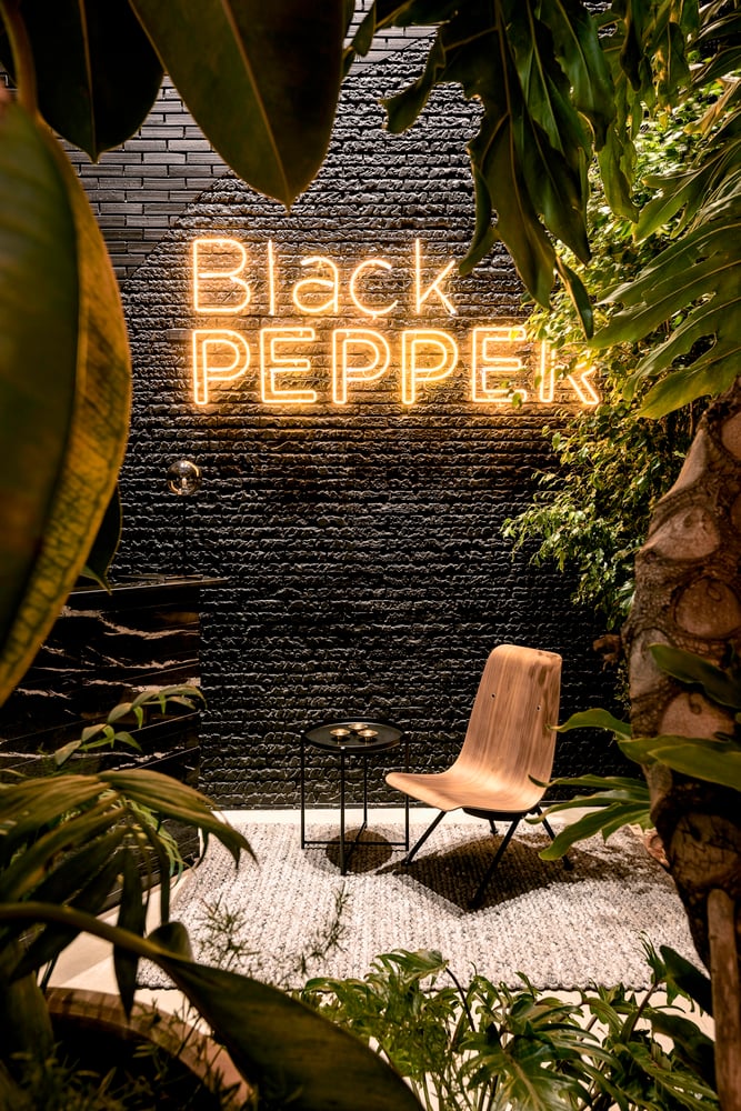 Black Pepper