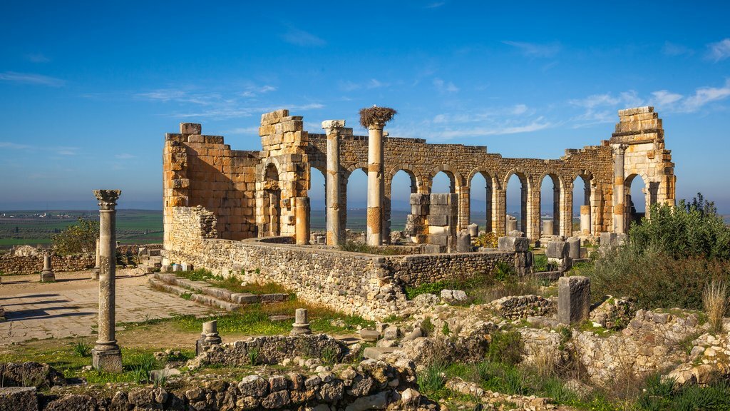 From Fez: Volubilis & Meknes – Private Day Trip