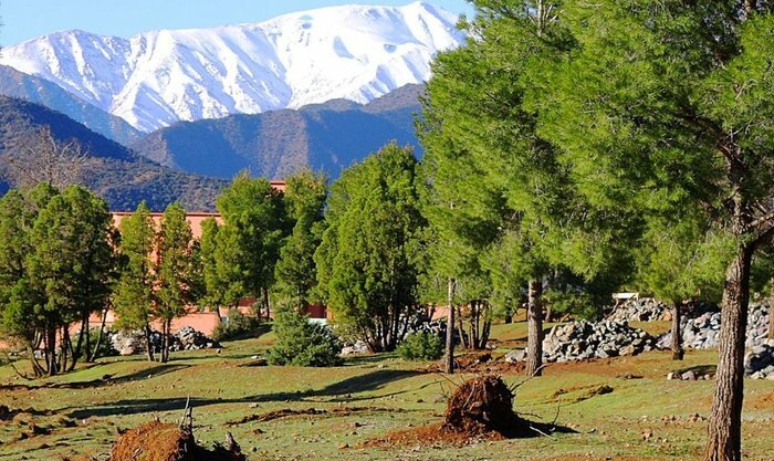 From Fez: Middle Atlas – Private Day Trip