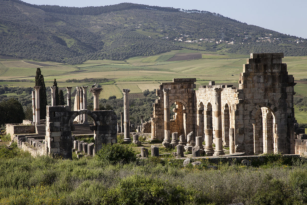 From Fez: Volubilis & Meknes – Private Day Trip