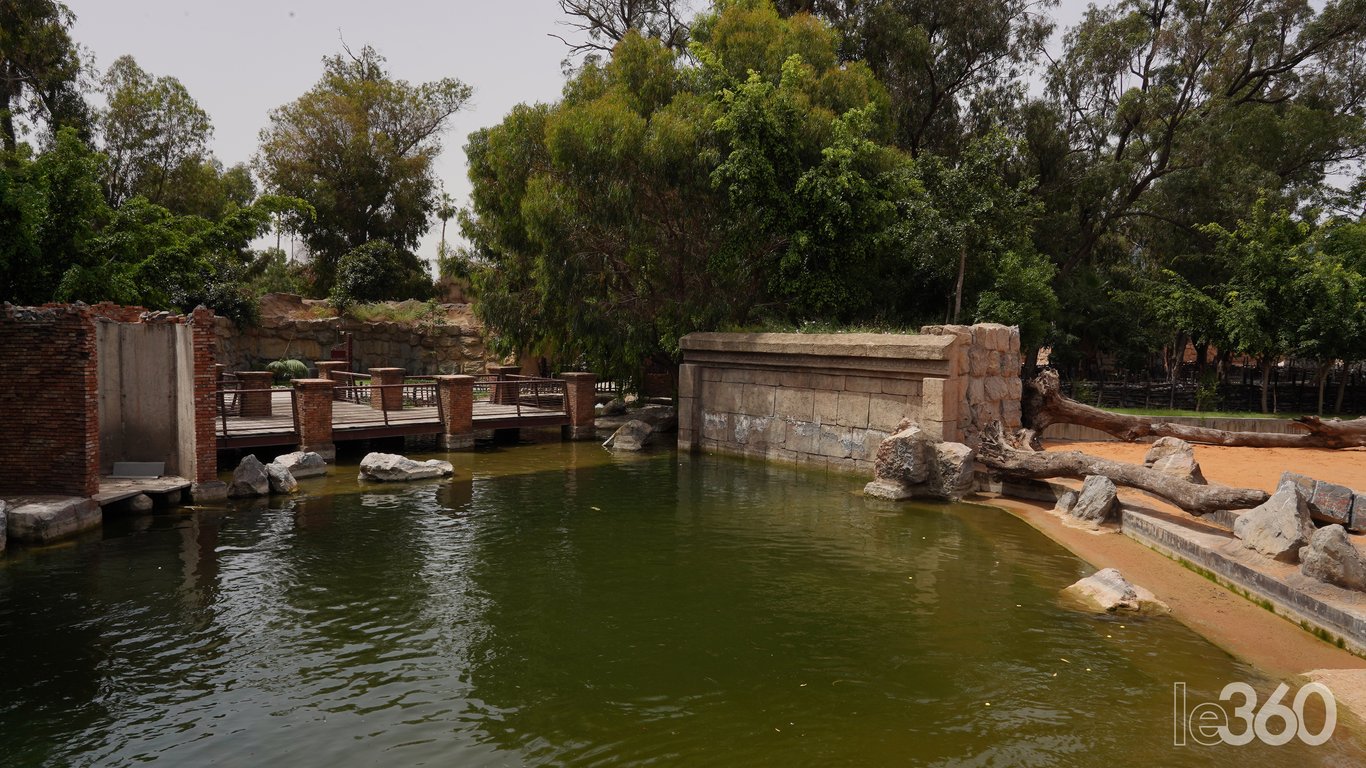 Zoo di Aïn Sebaâ, Casablanca