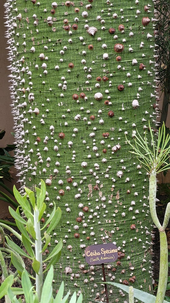 Le Jardin Secret