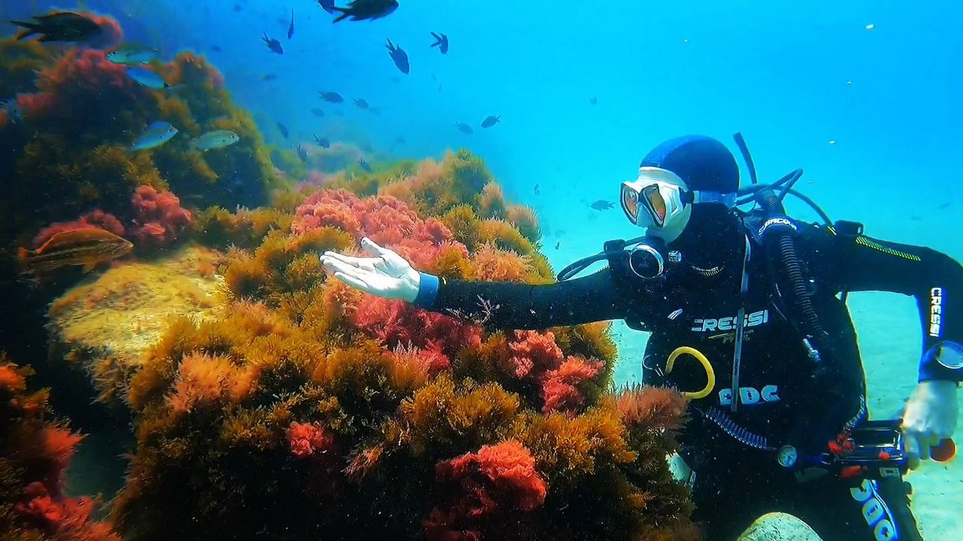 Buceo en Tanger