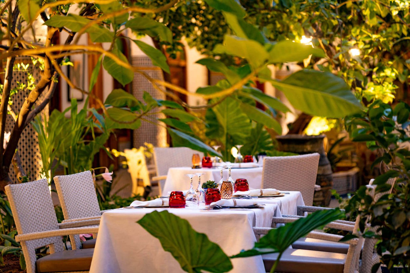 Eden au Palais Amani