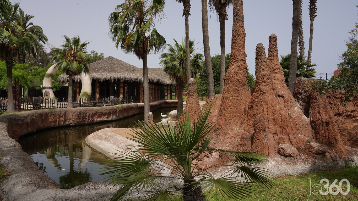 Zoo di Aïn Sebaâ, Casablanca