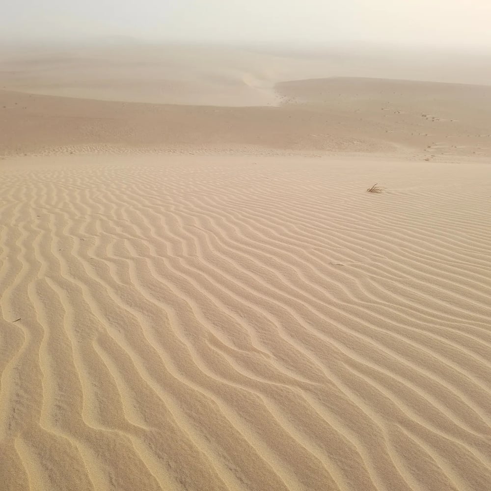 Sbita Desert 4x4 Excursion in Dakhla