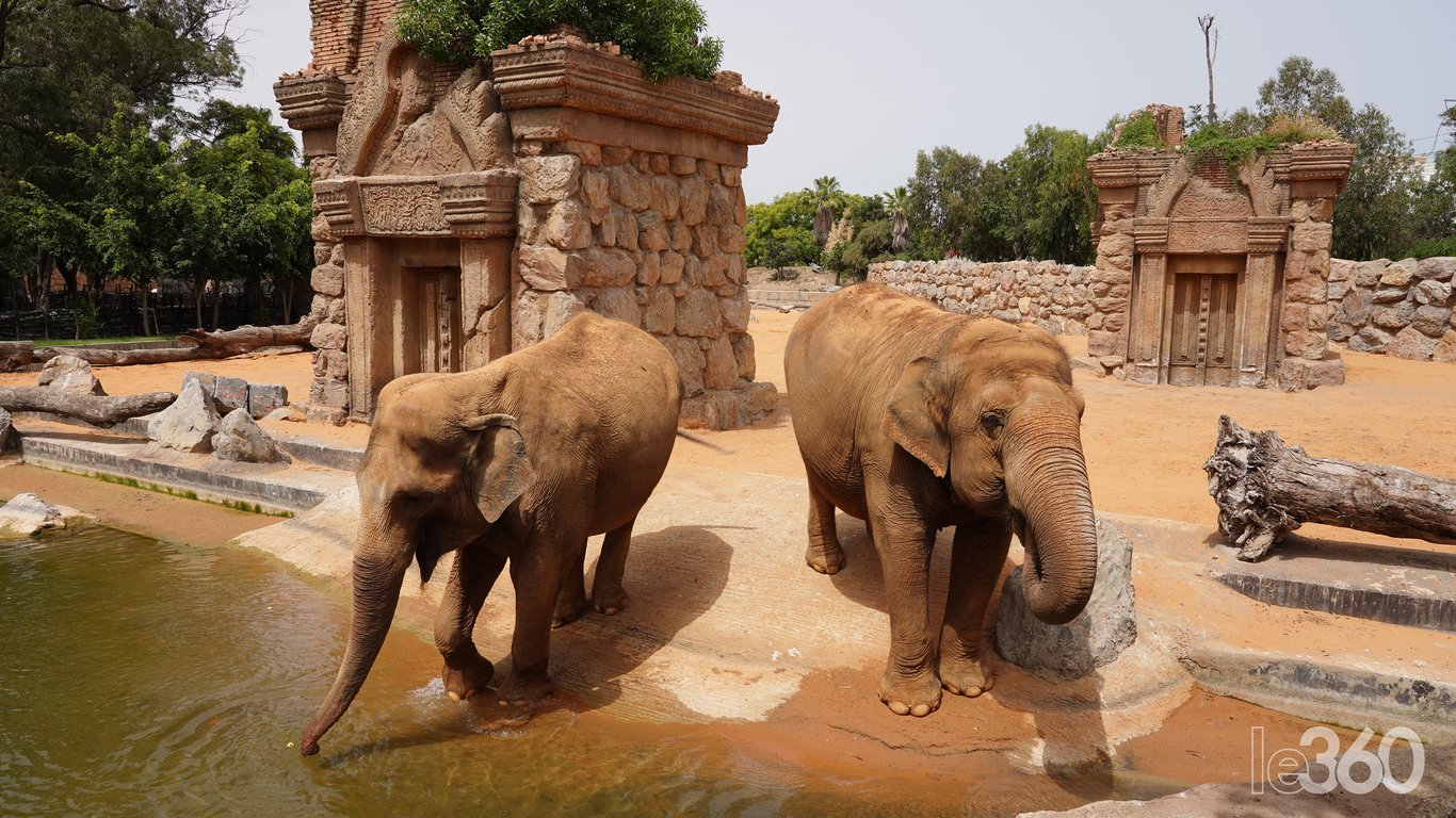 Zoo di Aïn Sebaâ, Casablanca