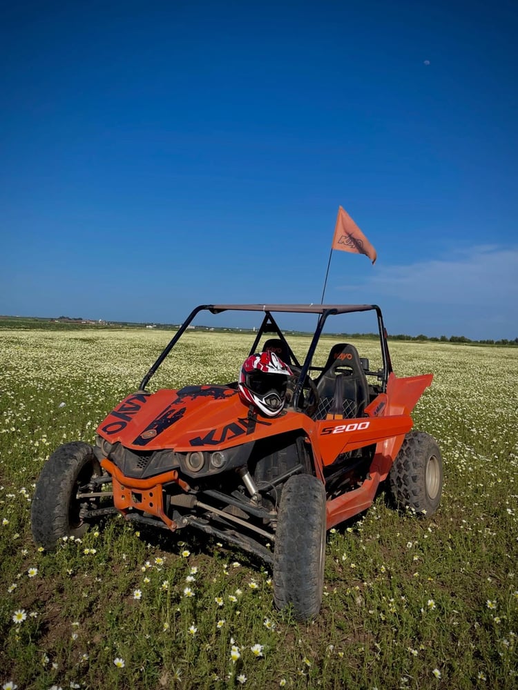 Buggy Ride in Fez