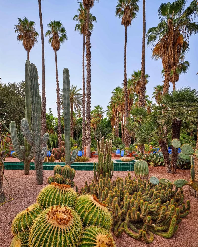 Les Meilleurs Endroits Instagrammables à Marrakech 2