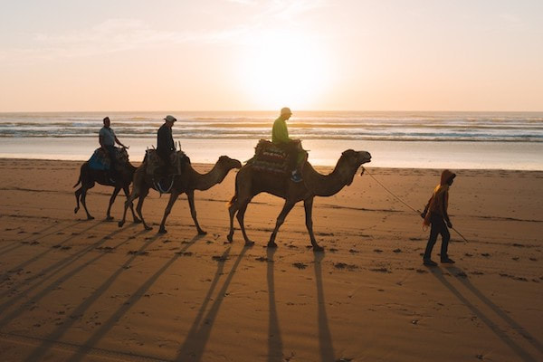 Kameelrit in Agadir