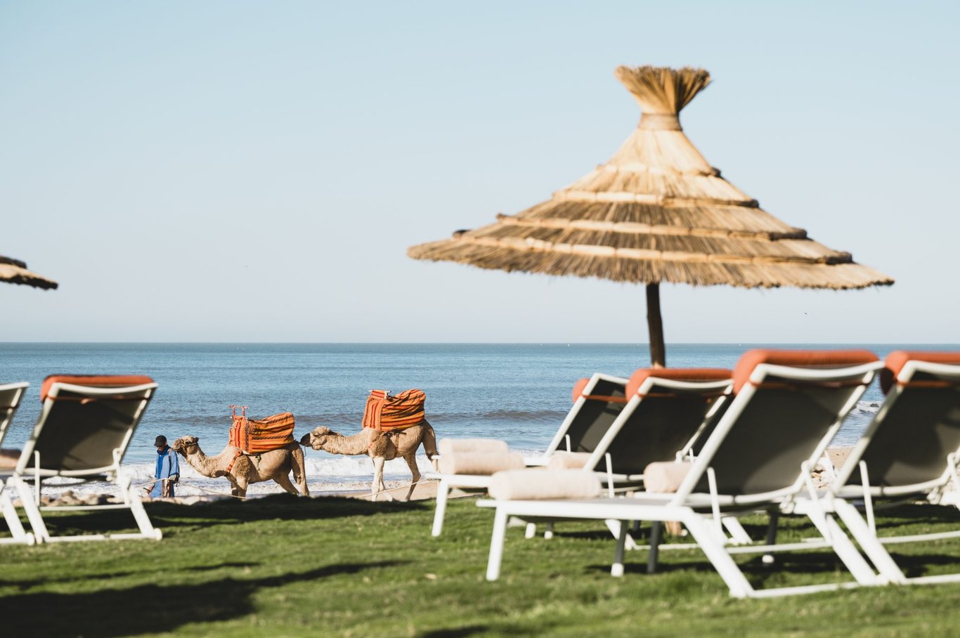 Paradis Plage Beach Bar