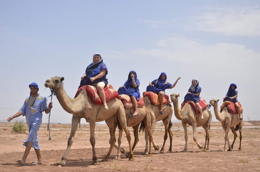 Camel Ride in Marrakech (Palm Grove)