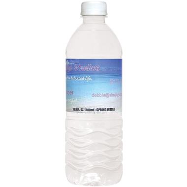 Bottled Water 16.9 oz