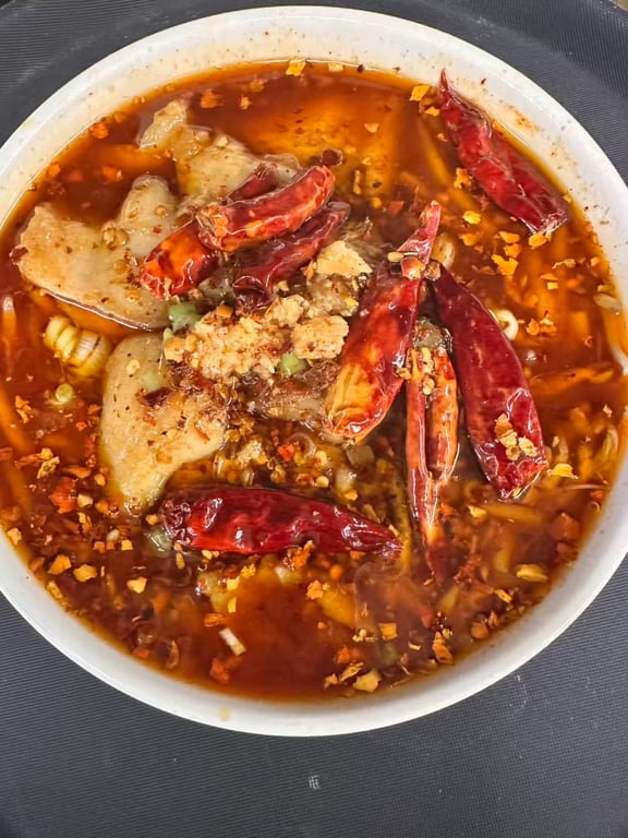 D16. Sichuan Spicy Boiled Fish - 水煮鱼