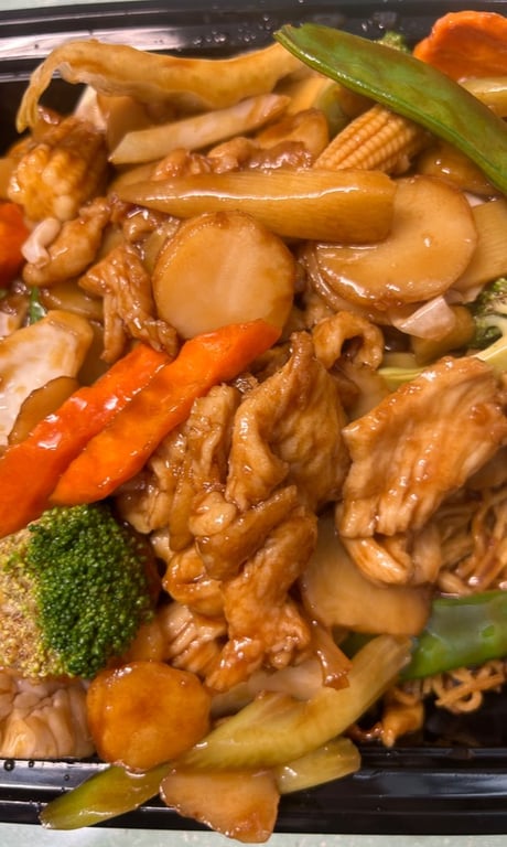 Chicken Pan Fried Noodles (Re)