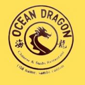 Ocean Dragon - Steamboat Springs logo
