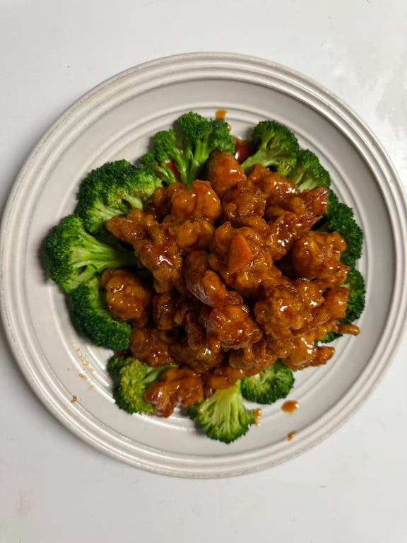 H9. 陈皮鸡<br> Chicken w. Orange Flavor