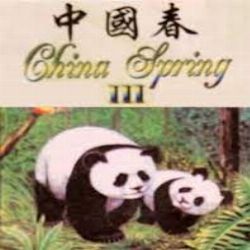 China deals spring menu