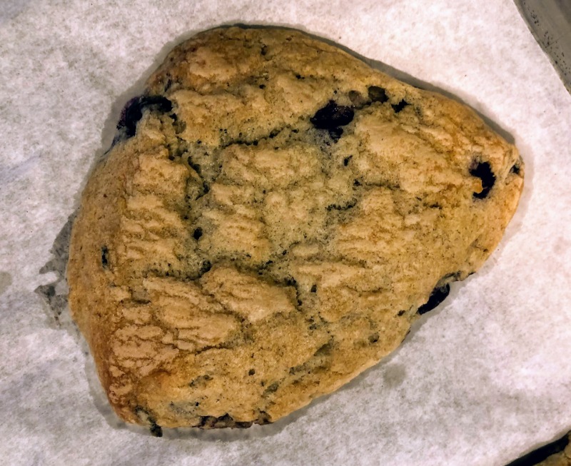 Blueberry Scone