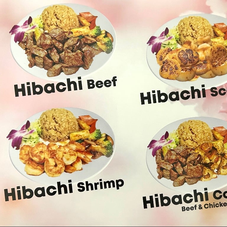 H2. Beef Teriyaki