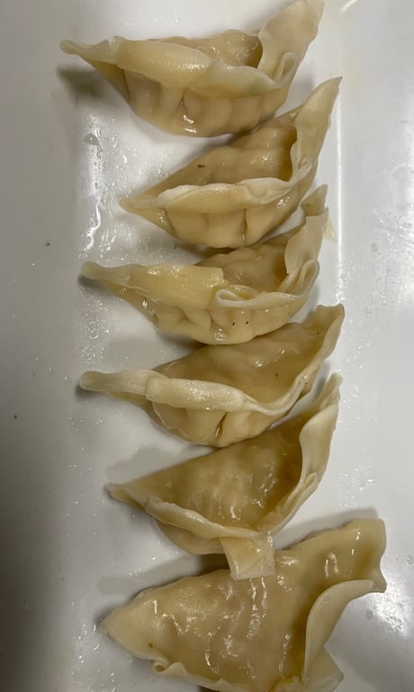 Chicken Dumplings (6)