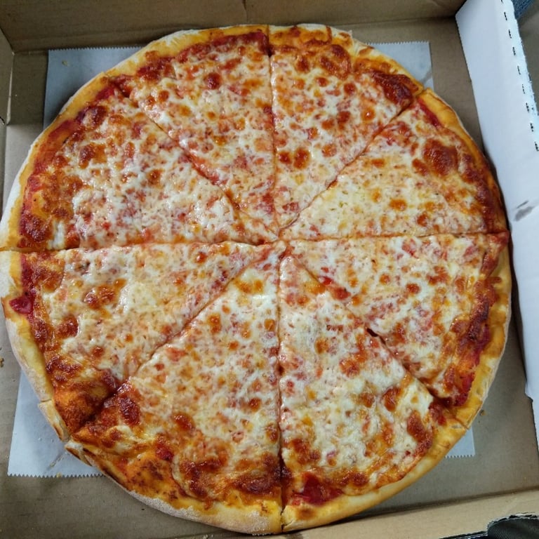 Plain Pizza Image