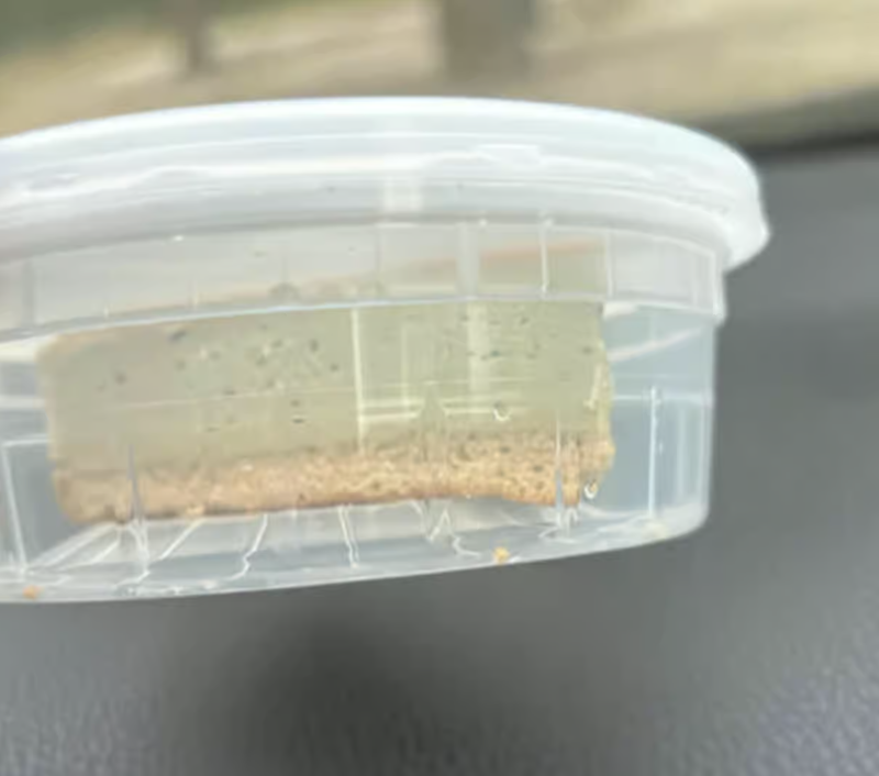 JP Cheese Cake 芝士蛋糕