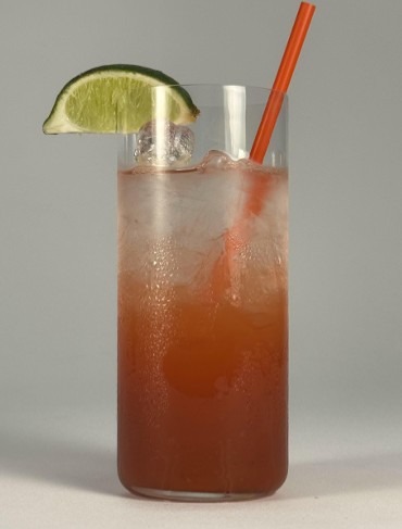 Wildberry Burst Fizz