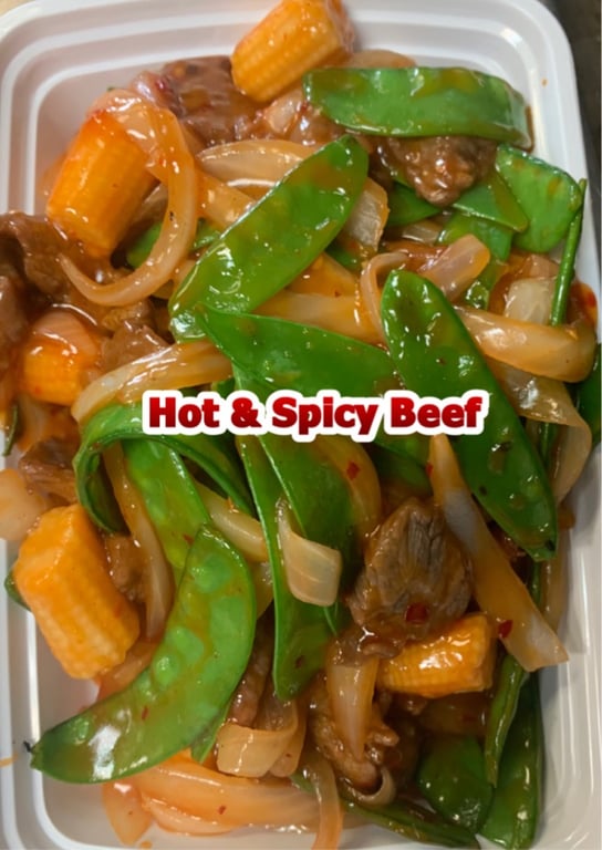 H9. 干烧牛 Hot & Spicy Beef