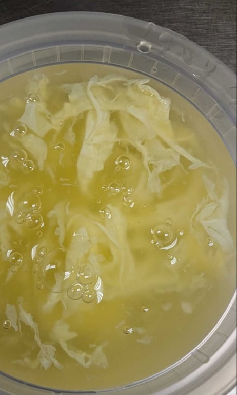 Egg Drop Soup 蛋花汤