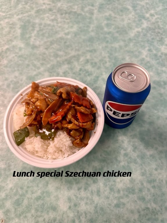 L16. Szechuan Chicken