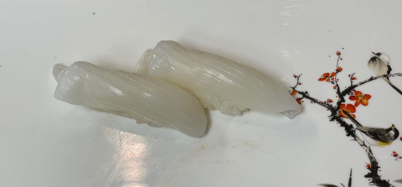 Squid (Ika) Image