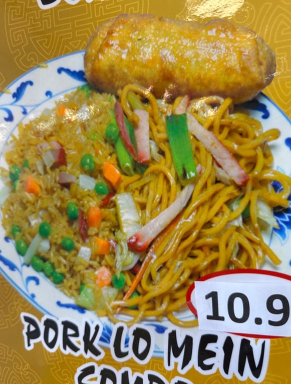 S6. Roast Pork Lo Mein (Combo Platter)