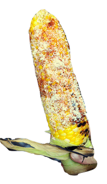 Corn Cob