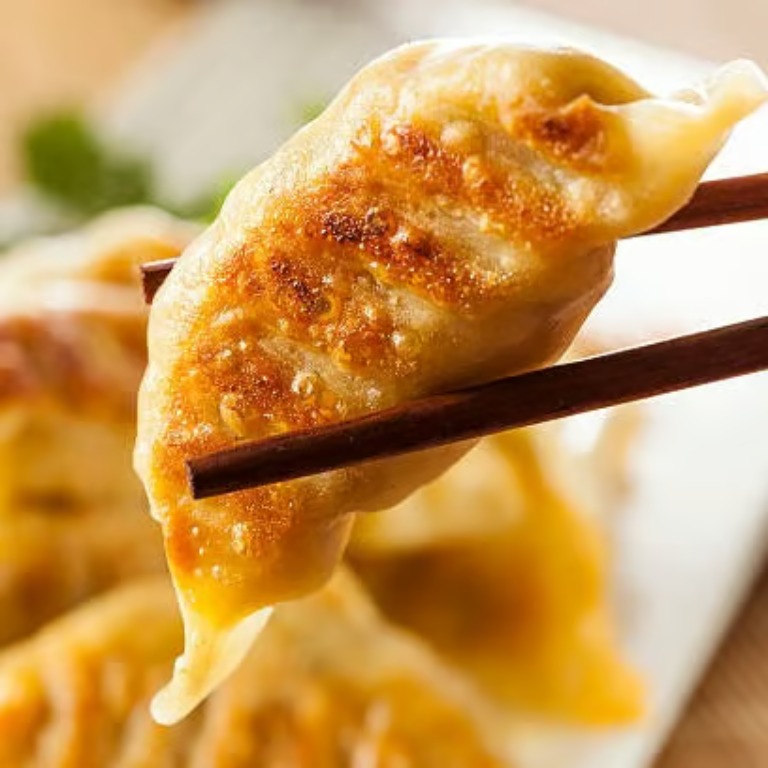 9. Fried Dumplings (8)
