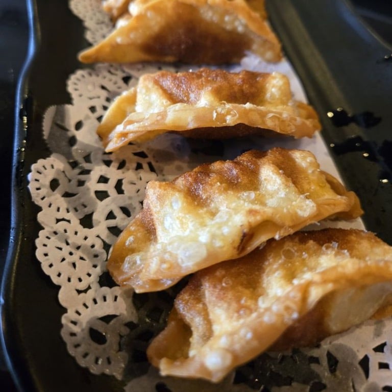 A05. 煎 饺 子 Pan Fried Dumplings (10pcs)