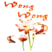 Wong Wong - Lexington, KY logo