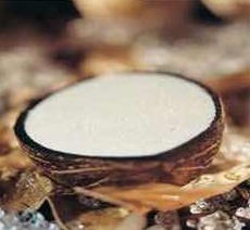 Coconut Ripirno
