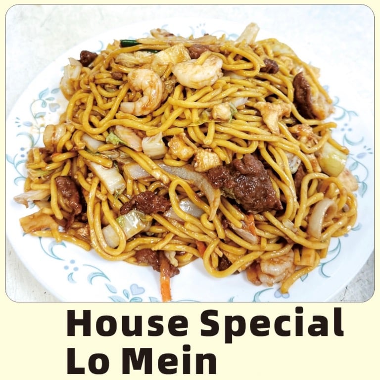 House Special Lo Mein 本楼捞面