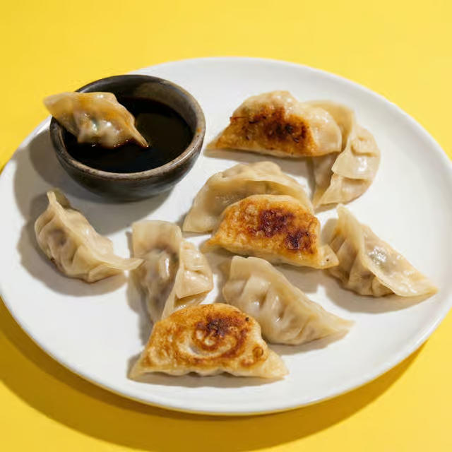 Pan Fried Dumplings (6)