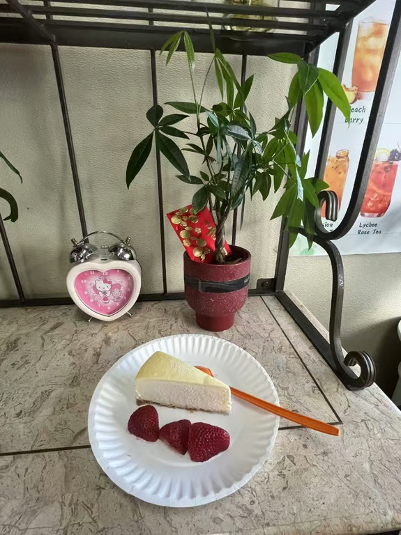 Plain Cheese Cake (1)
